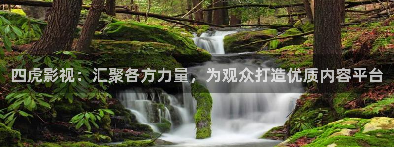 南来北往电视剧星辰影院：四虎影视：汇聚各方力量，为观众打造优质内容平台