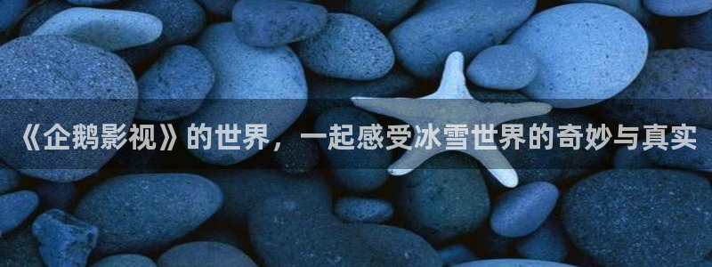 xc星辰影视：《企鹅影视》的世界，一起感受冰雪世界的奇妙与真实