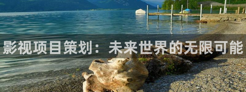 星辰影院狂飙电视剧全集免费播放：影视项目策划：未来世界的无限可能