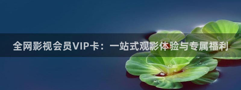 星辰影院神墓动漫：全网影视会员VIP卡：一站式观影体验与专属福利
