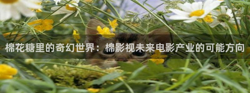 难哄电视剧免费观看全集在线播放星辰影院：棉花糖里的奇幻世界：棉影视未来电影产业的可能方向
