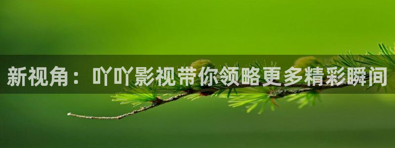 星辰影视哪里下载：新视角：吖吖影视带你领略更多精彩瞬间