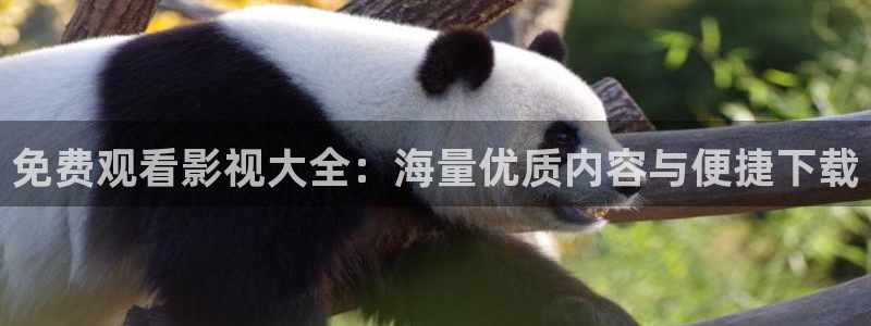大唐狄公案48集星辰影院：免费观看影视大全：海量优质内容与便捷下载
