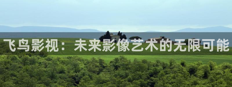 间谍过家家星辰影院：飞鸟影视：未来影像艺术的无限可能