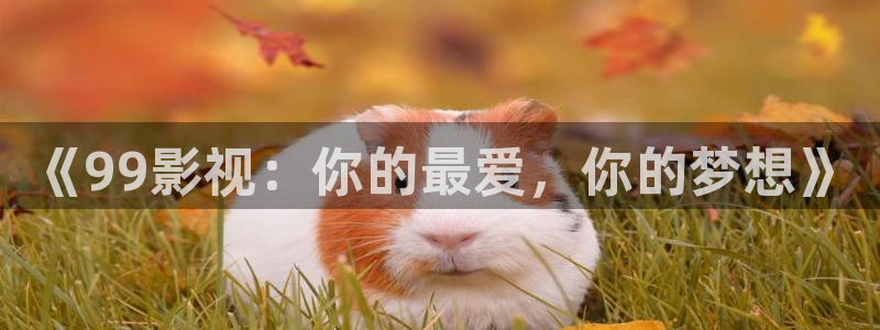 蜀锦人家电视剧免费播放星辰影院：《99影视：你的最爱，你的梦想》